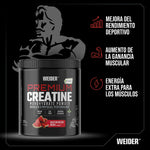 PREMIUM CREATINE 375GR SANDÍA