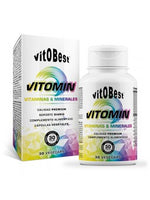 VITOMIN 100 CAPS VITOBEST